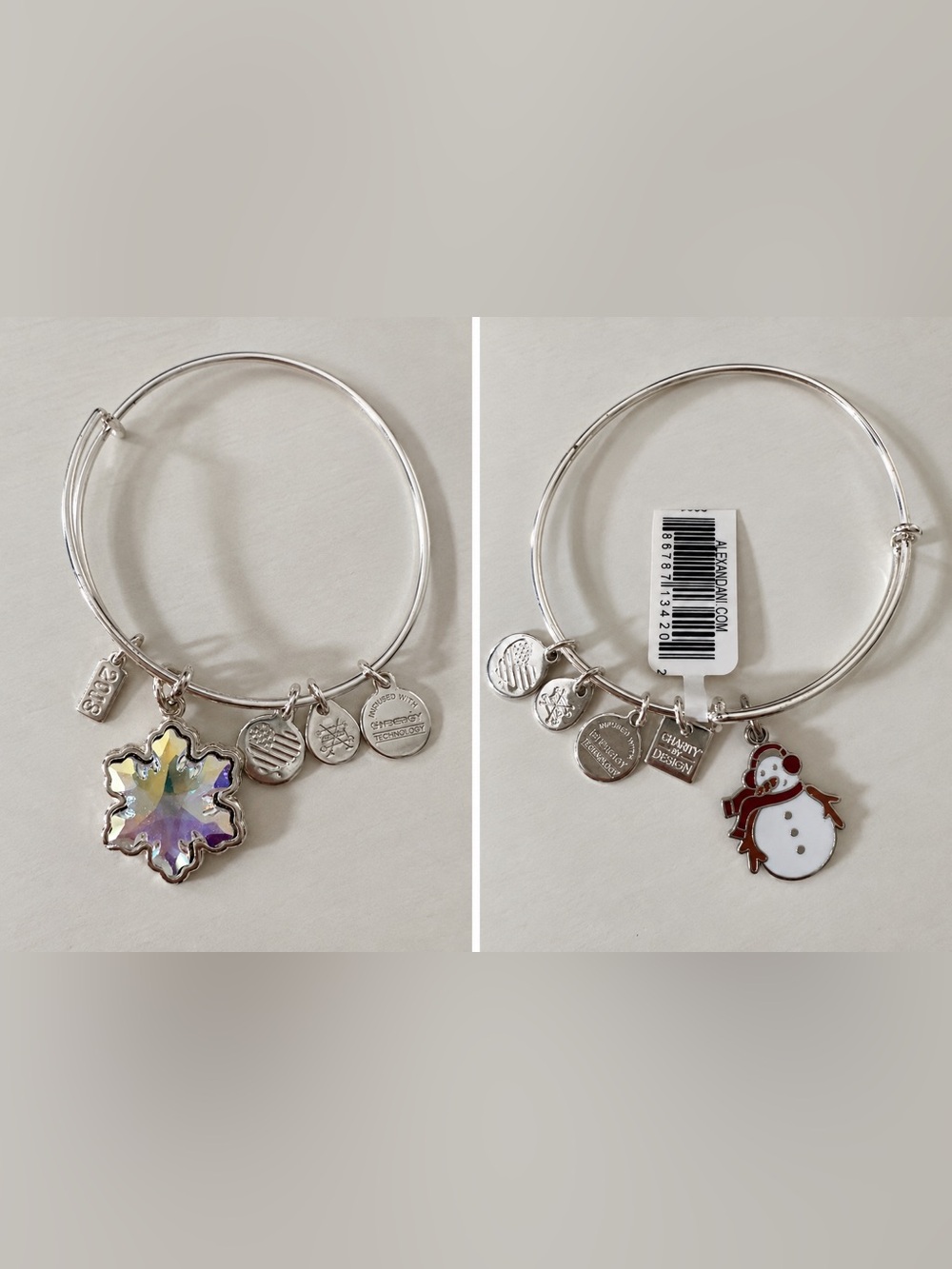 Alex and Ani Silver Charm Bangle Bracelet